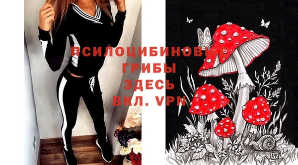 кокаин премиум Гусев