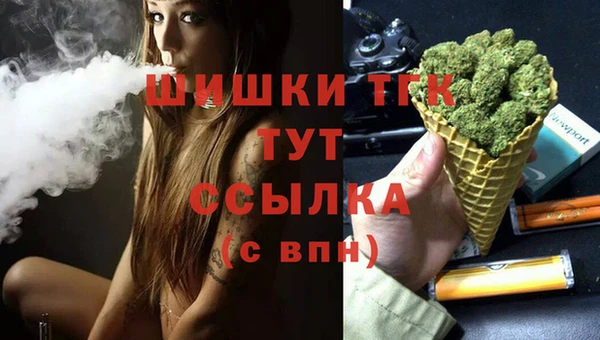 гашик Гусиноозёрск