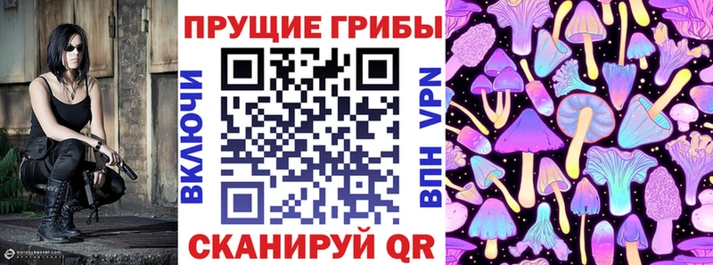 купить  сайты  Чебоксары  Галлюциногенные грибы Psilocybine cubensis 